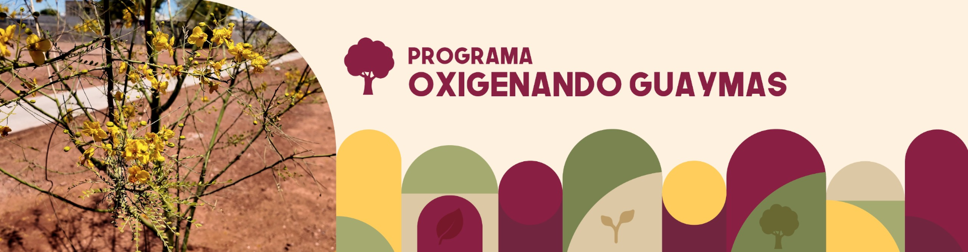 Programa Oxigenando Guaymas